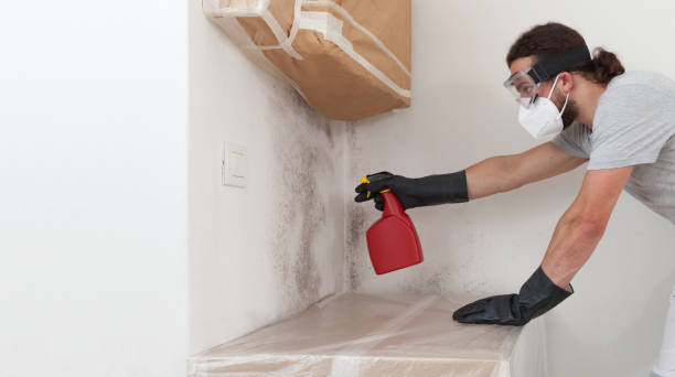 Professional Bathroom Mold Removal technician working in Corapeake, NC