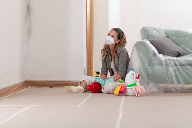 Reliable Bathroom Mold Removal contractor in Corapeake, NC by WQB Mold Removal